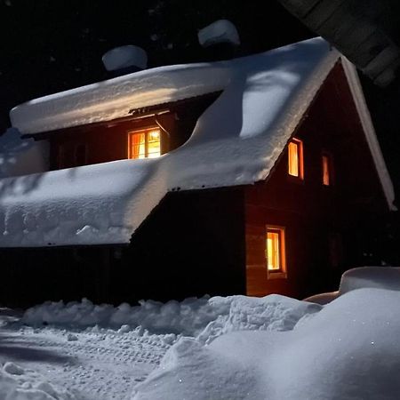 Digital Detox Chalet Pokljuka Goreljek Εξωτερικό φωτογραφία