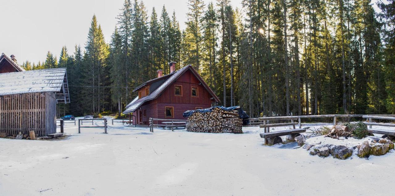 Digital Detox Chalet Pokljuka Goreljek Εξωτερικό φωτογραφία