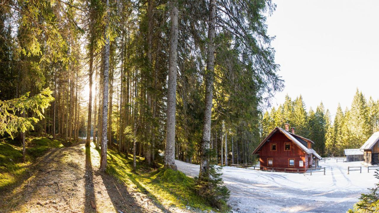 Digital Detox Chalet Pokljuka Goreljek Εξωτερικό φωτογραφία