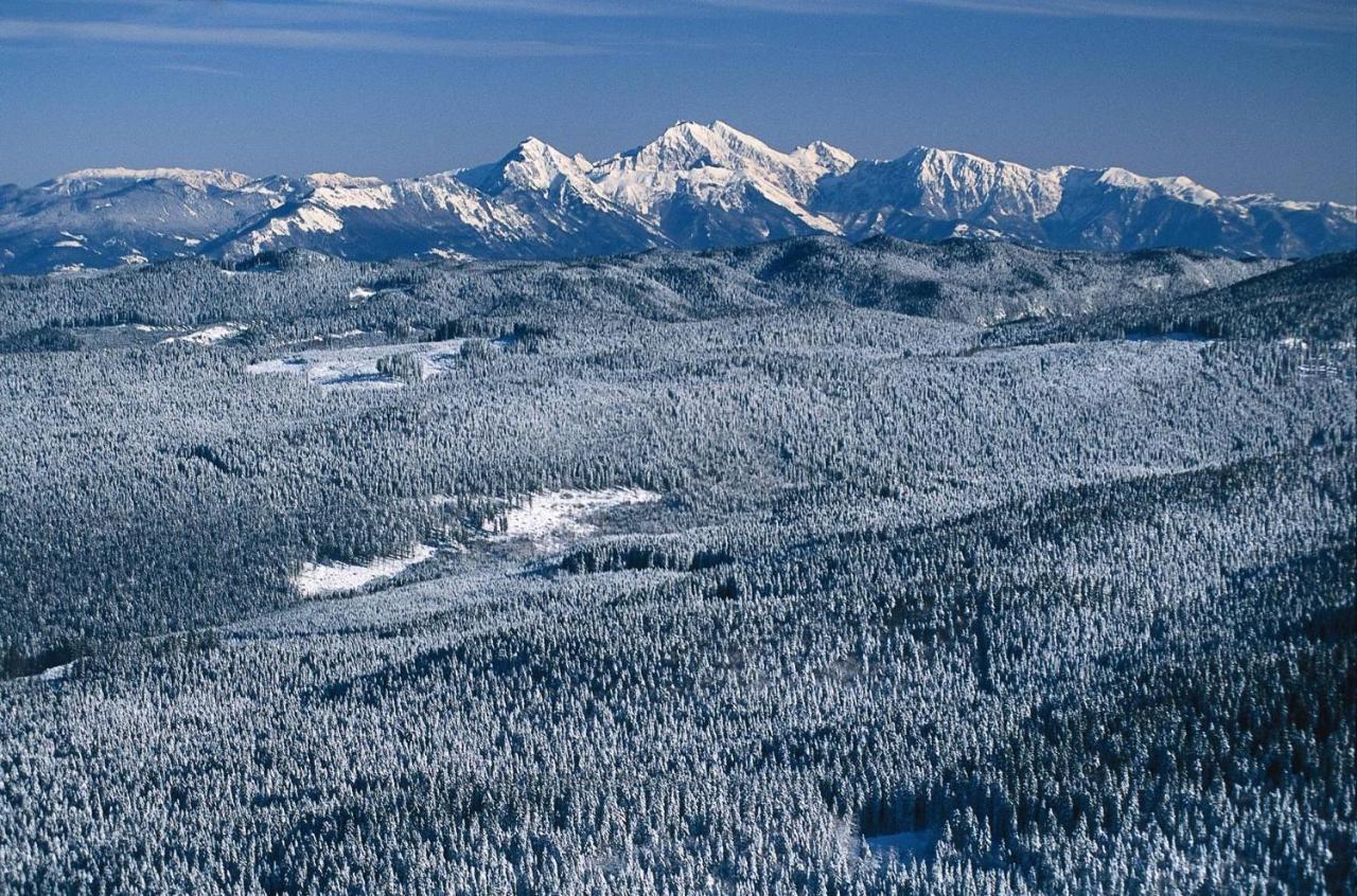 Digital Detox Chalet Pokljuka Goreljek Εξωτερικό φωτογραφία